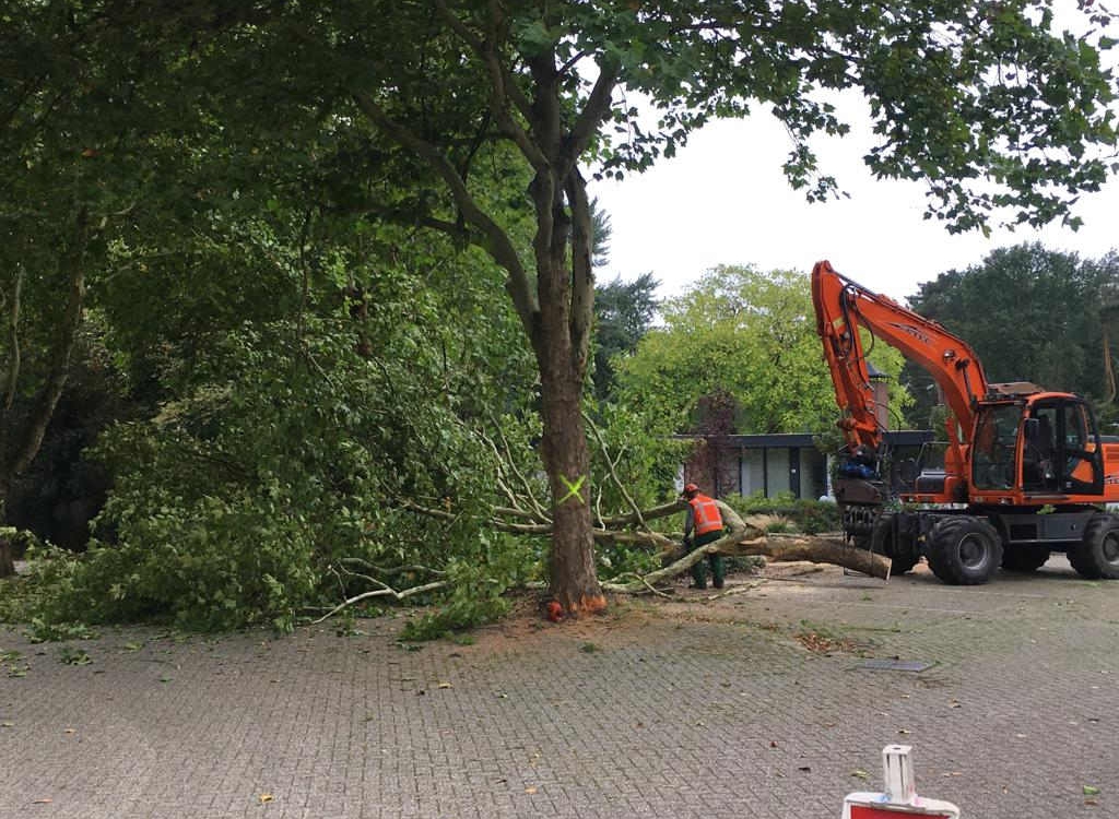 Groenverwijdering onderhoud Gemeente Emmen