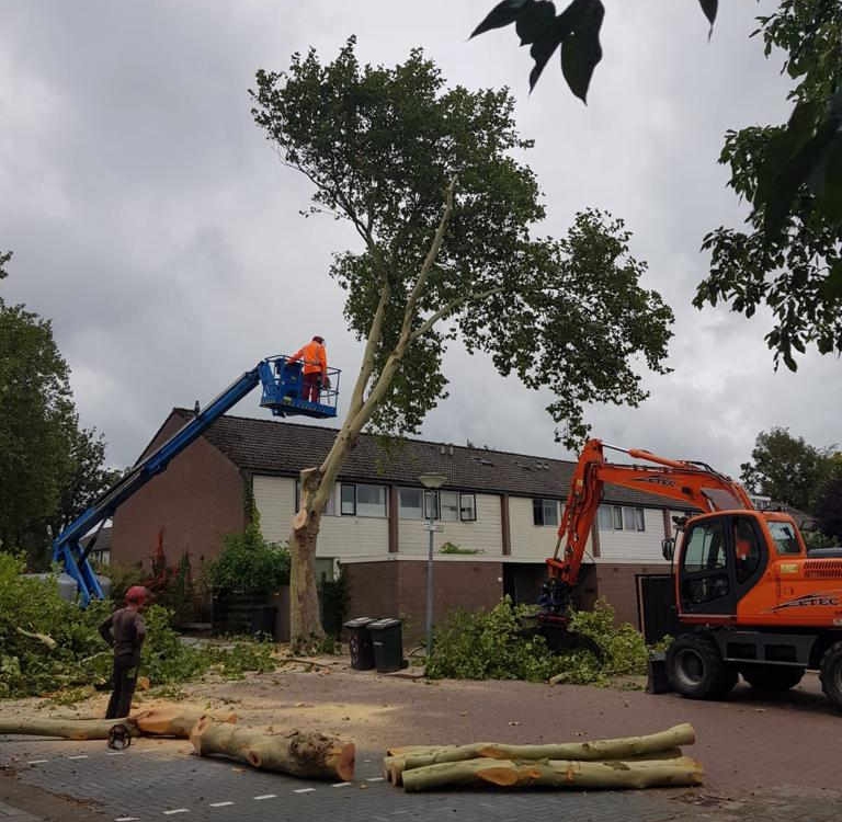 Verwijderen bomen en groen Gemeente Emmen