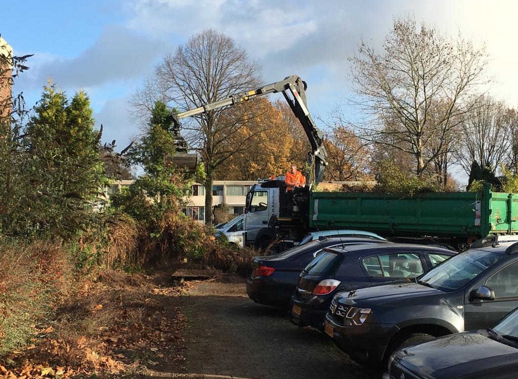 Verwijdering overtollige bomen en struiken Gemeente Emmen